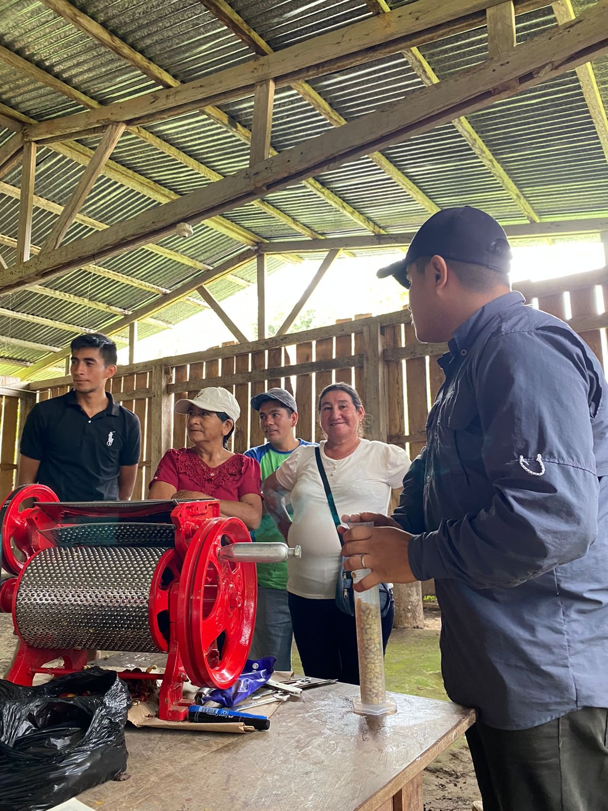 Casharpitas jóvenes